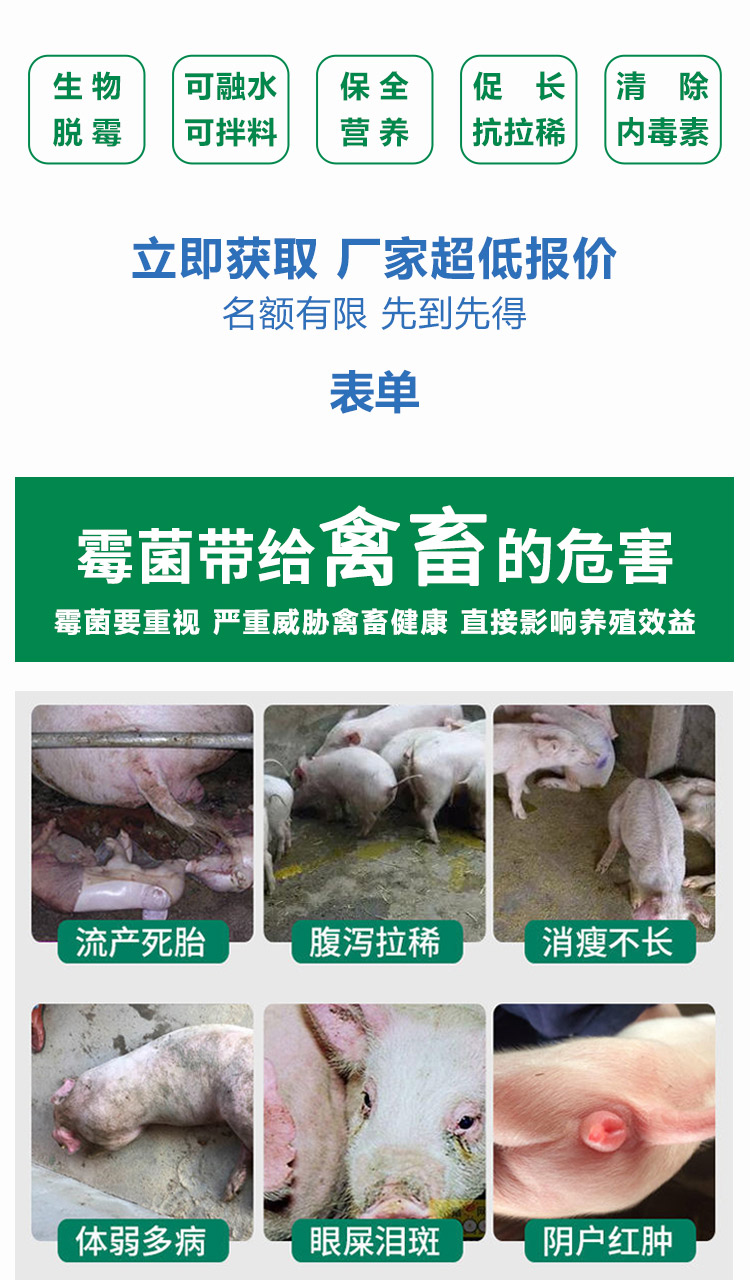 梅凈