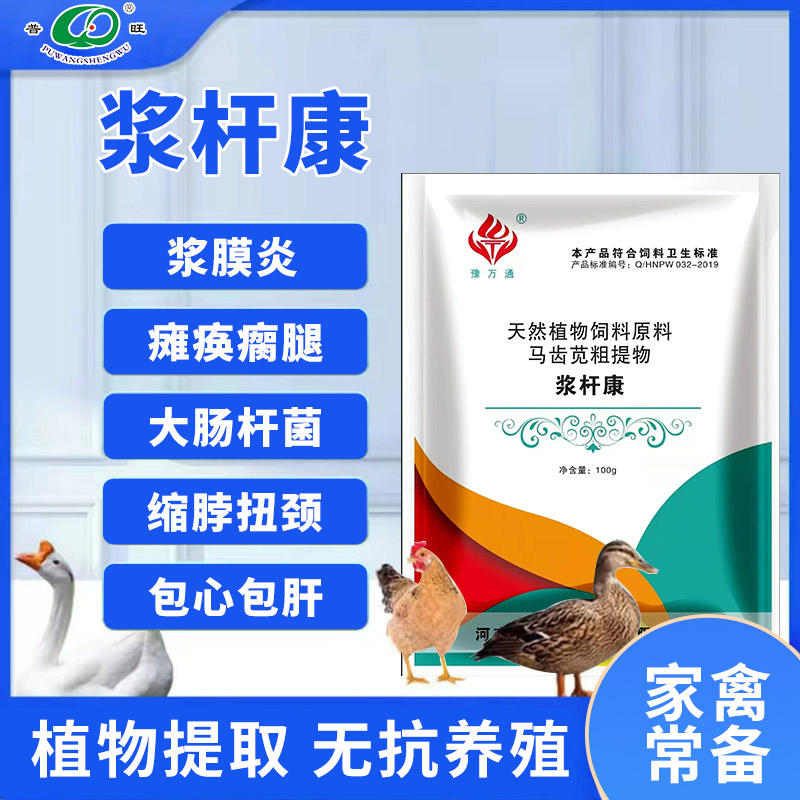 普旺獸藥廠家漿桿康治療禽漿膜炎清熱解毒利水去濕散血消腫殺菌消炎止痛